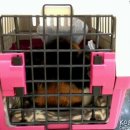 서신동물병원 이미지