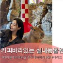 노루와사슴유치원 | 하루순삭 인천 아이랑 갈만한 곳 : 키카있는 실내 동물원 송도 트리플스트리트 테이블에이 앤 우쥬