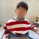 혜화유치원 | 혜화 아이랑 갈만한 곳. 동물체험 미어캣파크 내돈내산 후기!