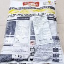 플레인 포테이토