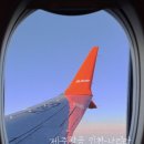 1106 | 도쿄 여행 | 제주항공 인천 ↔️나리타 7C1103/7C1106 탑승 후기