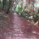 송산유원지 이미지