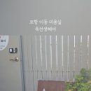하이포항C