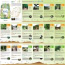 둘레길8구간 이미지