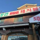 초월가까운약국 다이닝코드
