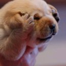 한성대역 6번출구 이미지