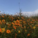 동암프라자 약국 이미지