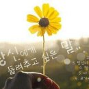 손세차 - 김해시 가야로 51-1 | 손세차