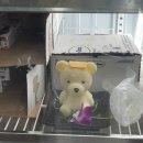 프린스양품 | [대만 타이페이 맛집] 중산역맛집 대만 현지인픽 곰돌이 우유훠궈 호식다제제(好食多涮涮屋)