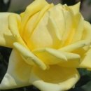 한국관나이트 이미지