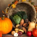 안녕필라테스 이미지