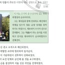 22회 한국사능력검정시험 고급 32번 : 최익현과 을사의병(1905~1906) 이미지