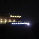 니팅홍차