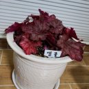 두리조경 이미지