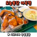 송정913-4 | [마곡 치킨] 오늘통닭 마곡점 / 시그니처 숙성통닭 / 일부 내돈내산
