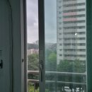 가재골산장 | 주간 일기 08. 08 ~ 08. 14) 부모님과 괴산 여행🌿 | 미리 생일 기념 오마카세🍣