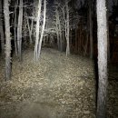 태조산길 이미지