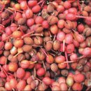 하이온누리약국 이미지