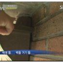 배티농장 이미지