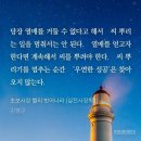 ﻿아침 이슬과 같은 말 - 레몬 효능 10가지 놀라운 비밀 이미지