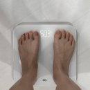 (주)모어벨라