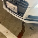 상우모터스 | [8J] #03 라디에이터 사망, 이래야지 독일차지!