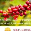 오리진팩토리