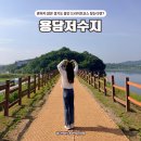 용인 드라이브코스 BEST, 용담저수지 경기도 가볼만한곳 주말나들이