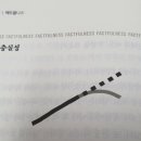 직선본능 이미지