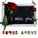 품앗이장례서비스 | 후불제상조 장례는 비용과의 싸움