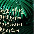 붓펜 수채 캘리그라피 초급 이미지