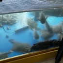 미화횟집 이미지