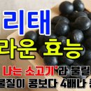 서라태의 놀라운 효능 이미지