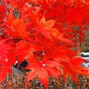 도덕산 캠핑장 이미지