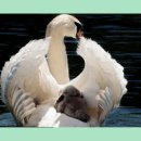 모두의 반찬 이미지