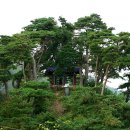 선인1리 이미지