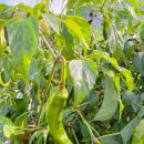 제천누림펜션 이미지