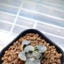 만상농장 이미지