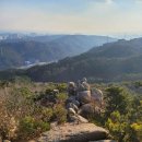 25년11월25일 1027차 울산 마골산&amp;해파랑길(대왕-주전) 이미지