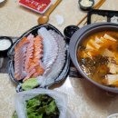 둥이카 네이버블로그