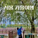 씨유 항동2단지점 | 항동 푸른수목원 주차 카페 서울 구로 가을 가볼만한곳