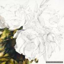 성덕농장 이미지