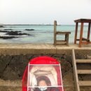 [2015_제주 한달] 며칠의 기록_일상+세화해변+성산가는길+제주맛집