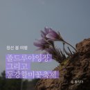 졸드루야영장 이미지