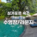 바인라운지 | 카펠라 싱가포르 호텔 3단 인피니티풀 수영장 및 라운지 후기