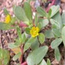 바이오사이언스그룹 이미지