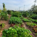 오곡 오지 이미지