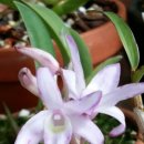 녹산농원 이미지