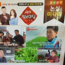 차마시고 밥먹고