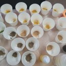 수정애마을 이미지